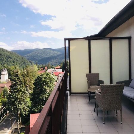 Mountain View Penthouse Apartment Синая Екстериор снимка